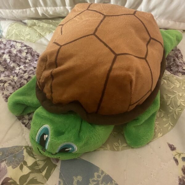 turtle doll