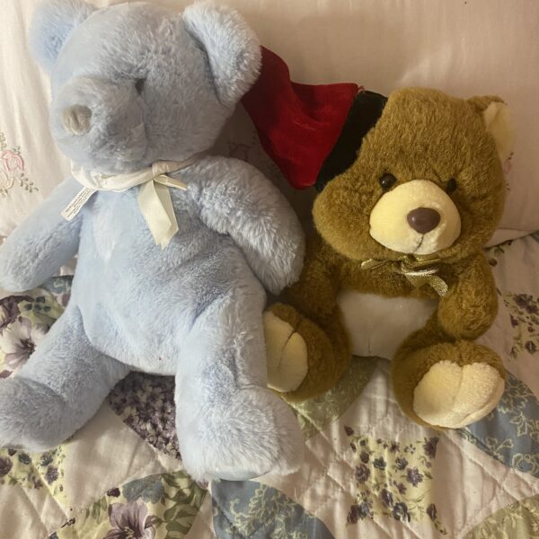 2 bears doll
