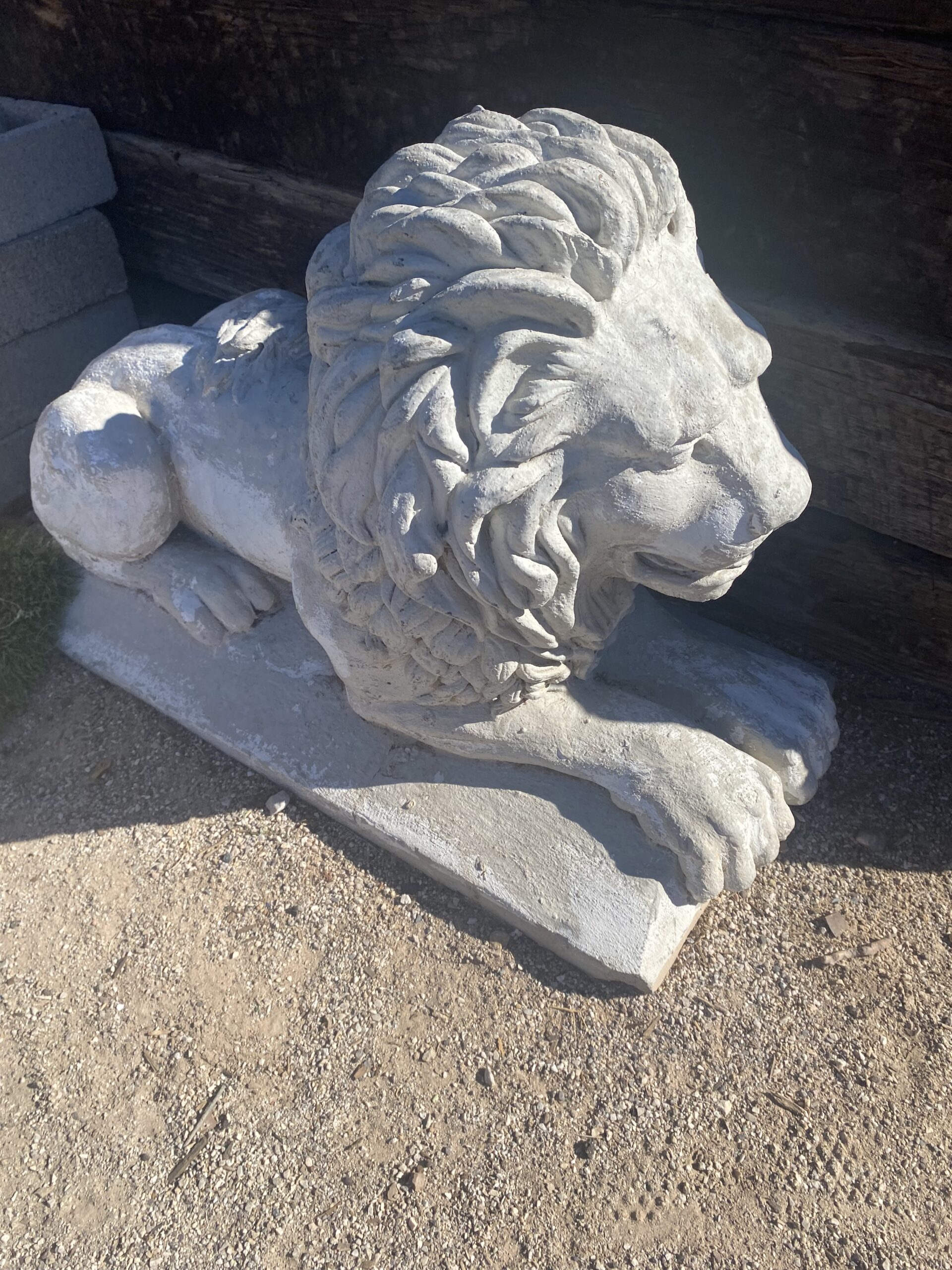 IMG_6767 Laydown Lions Concrete Statues - Image 1